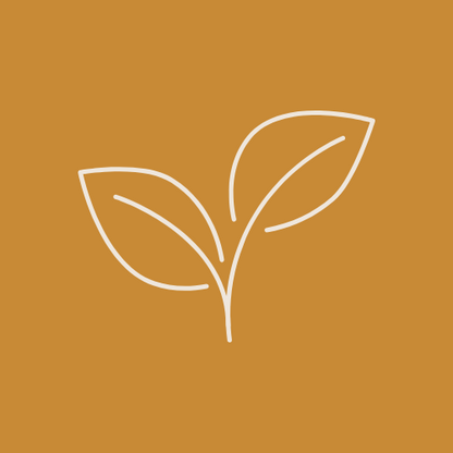 Bloom Letters Subscription